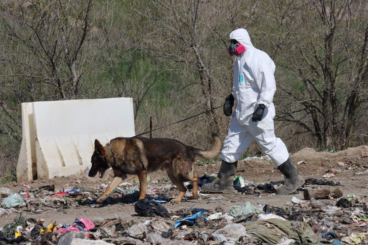 Photos of the police search efforts at Saskatoon’s landfill.