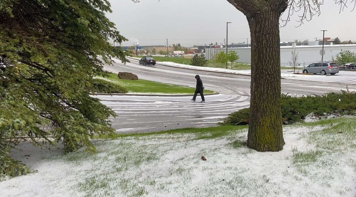 Heavy rain and hail that hit some areas of Calgary on Thursday (May 23, 2024) adding to the more than 50 millimetres of rain that has falled on the city this month.