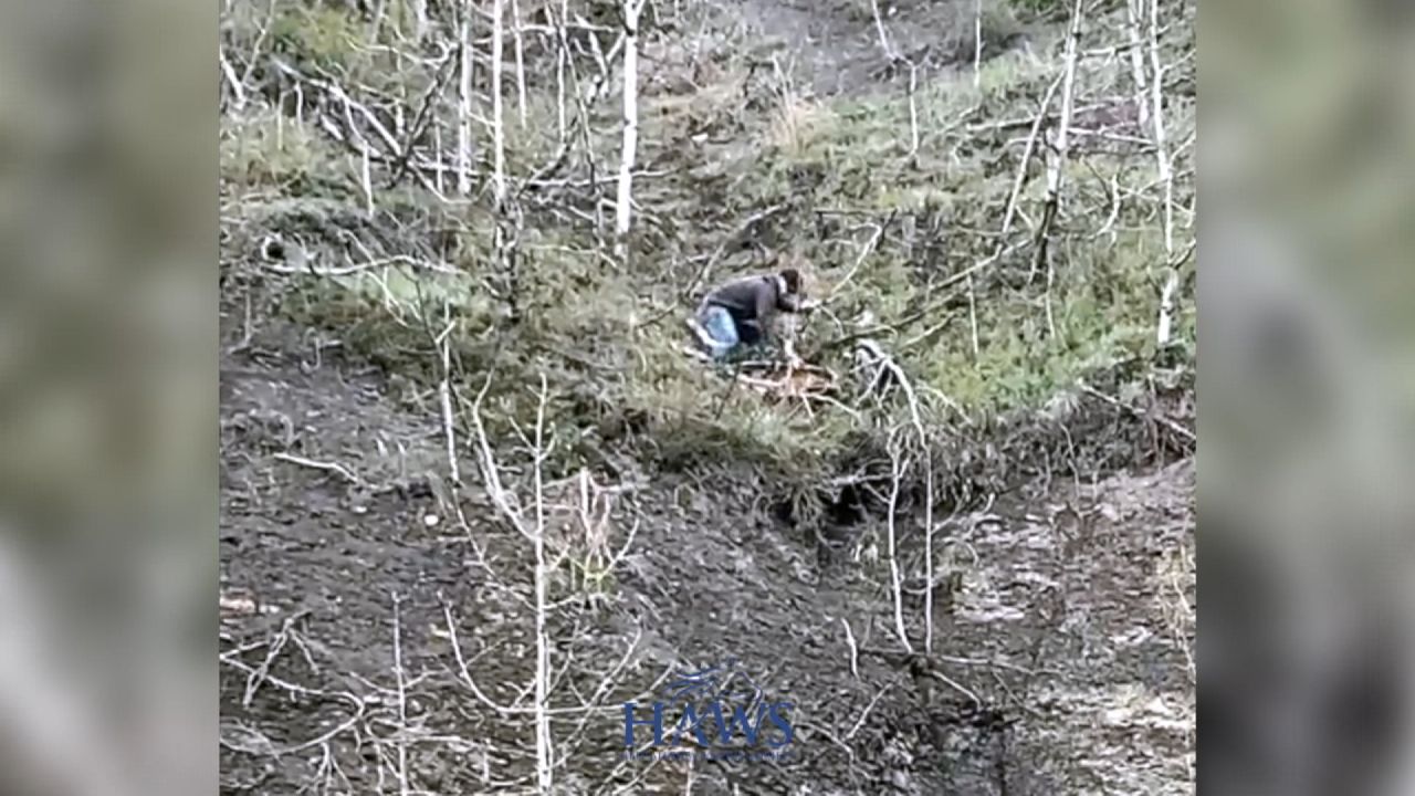 Wild horse rescue: Bystander pulls foal from edge of Alberta cliff