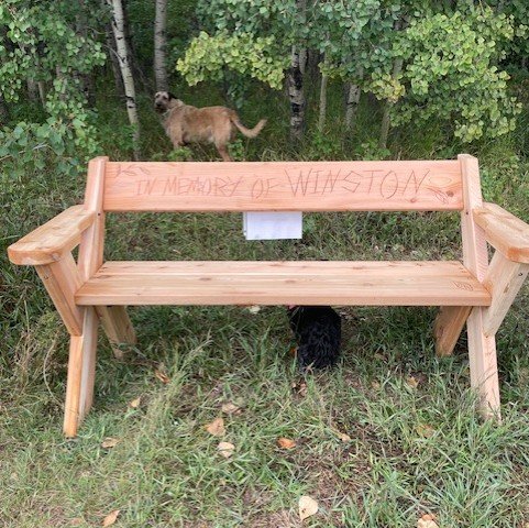 Oakridge residents say bench replacement ‘ripped up the spirit of Calgary’