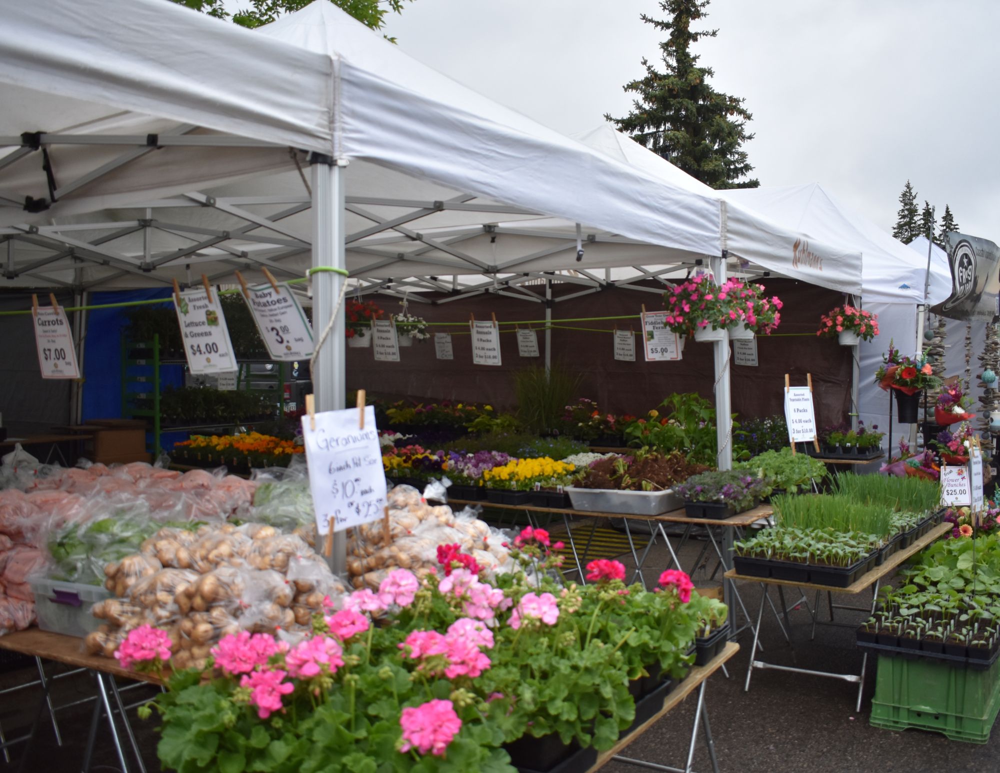 Едмънтън е гореща точка за обществени пазари и тяхната популярност