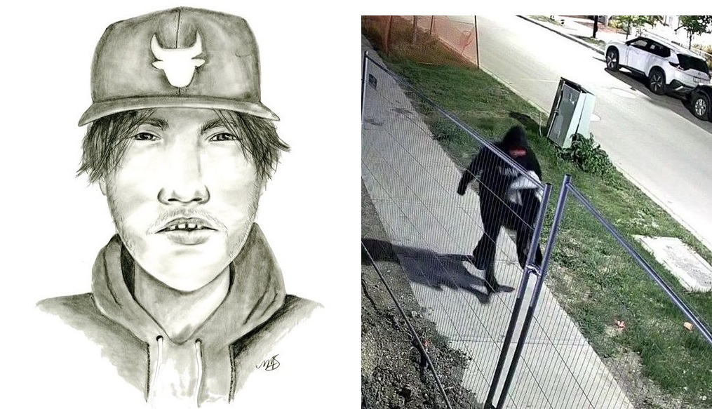 Stadium Edmonton stabbing suspect