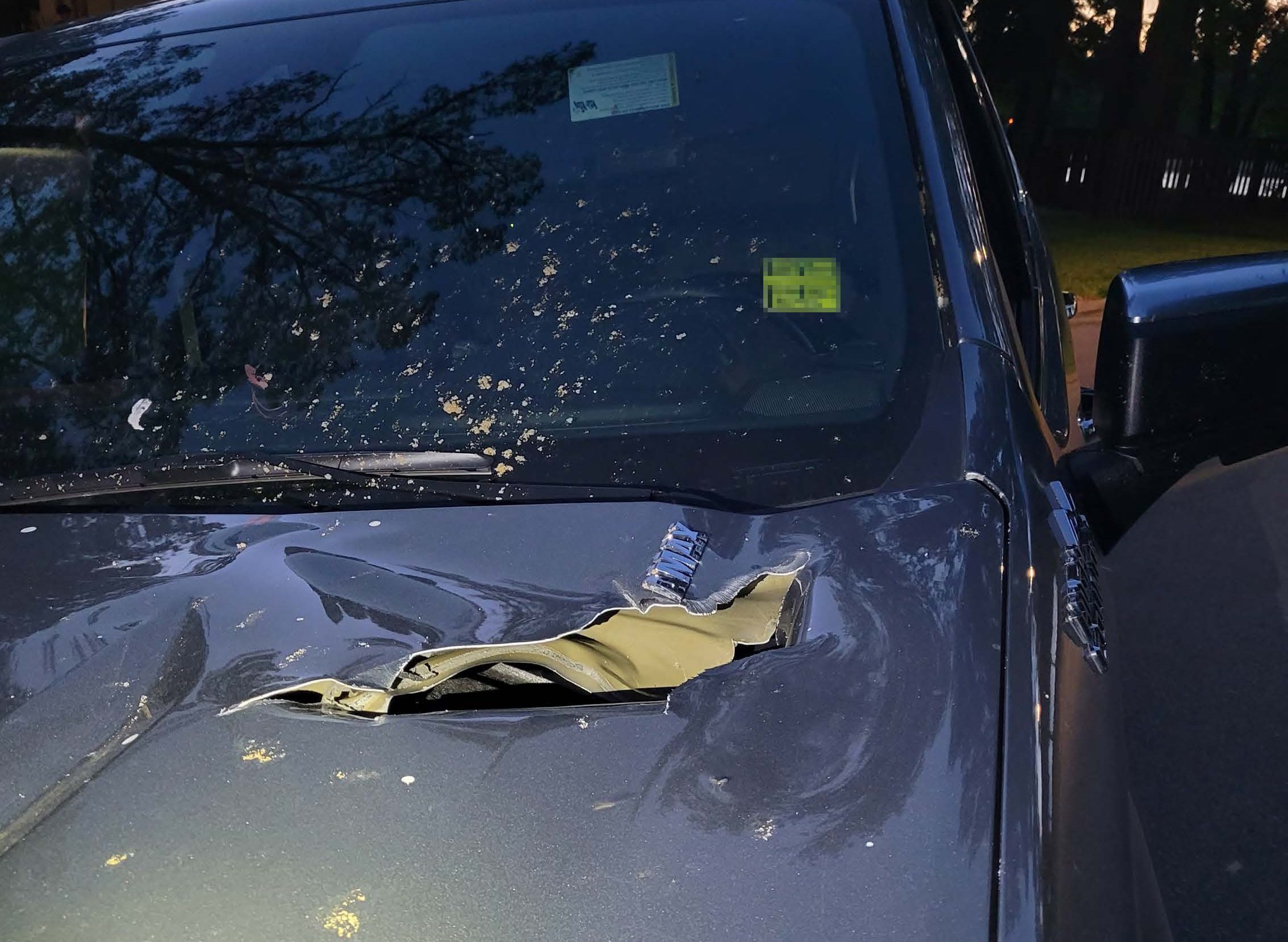 Мъж от Манитоба е изправен пред цял списък с криминални