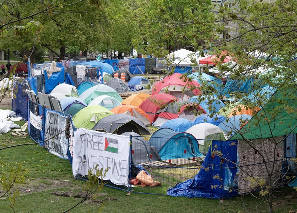 Protesters occupying McGill administration building