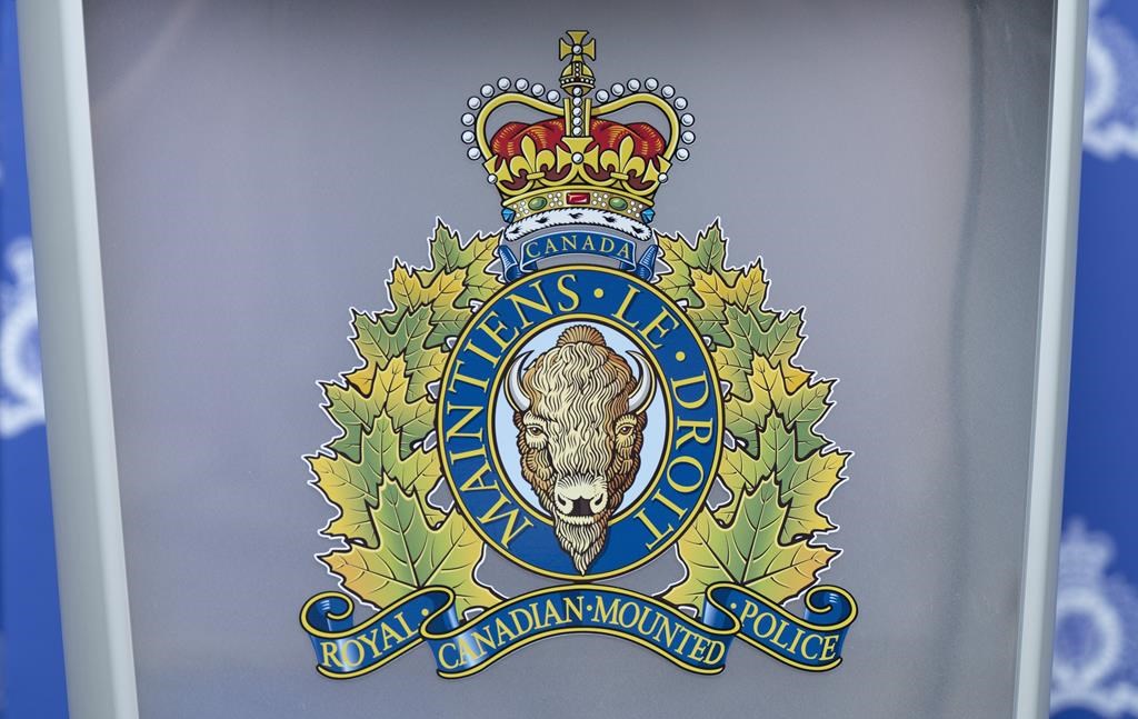 Manitoba RCMP search for 3 boys, mother, after border arrest - image