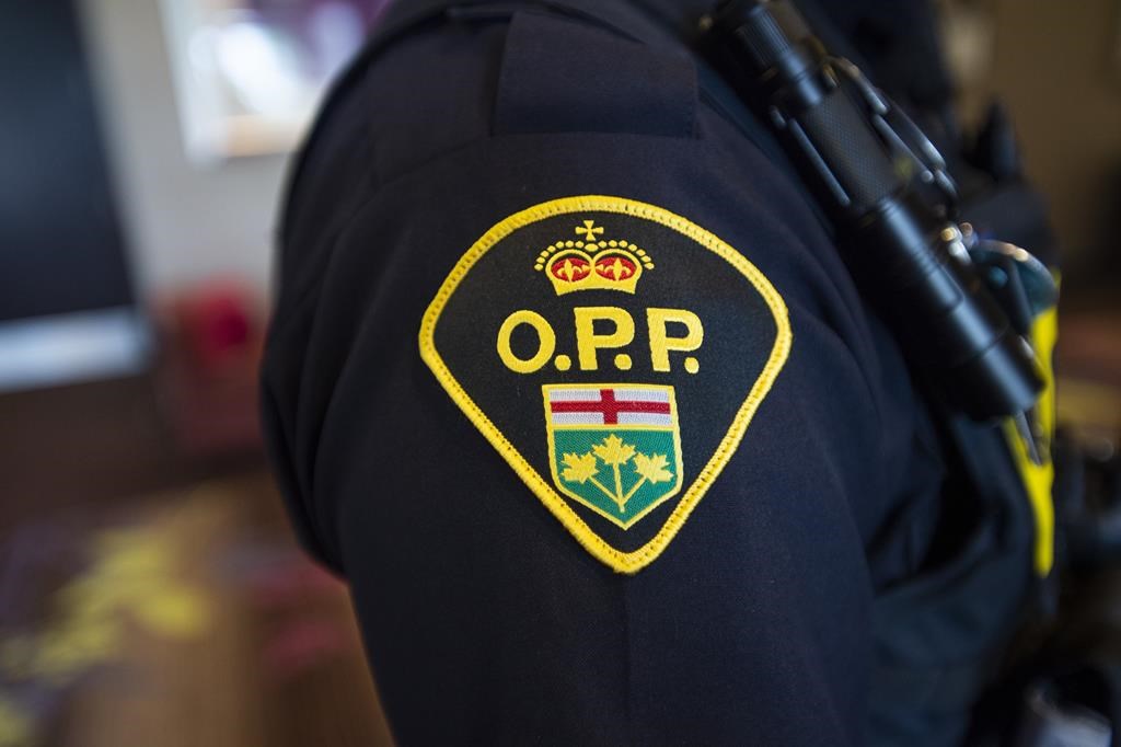 Members of the Orillia detachment of the Ontario Provincial Police (OPP) were dispatched to an intersection in the City of Orillia for an animal complaint. . THE CANADIAN PRESS/Andrew Lahodynskyj.