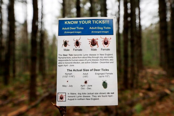 Lyme disease cases climb in Quebec, with more towns in endemic zone