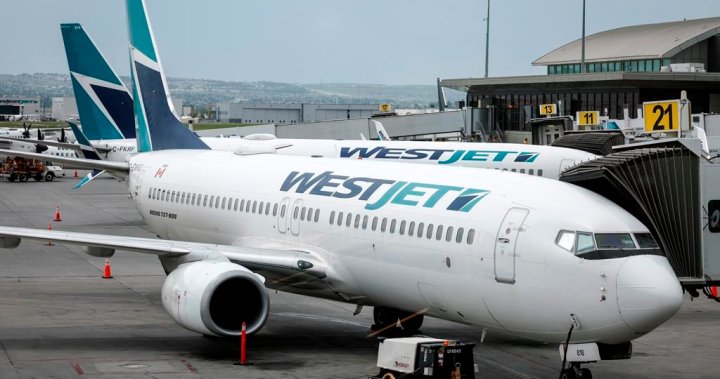 WestJet passengers affected by the strike want to compensate for losses