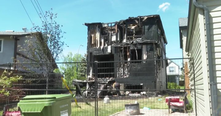 Съседите герои спасиха котка от пожар в къща в югозападен Калгари