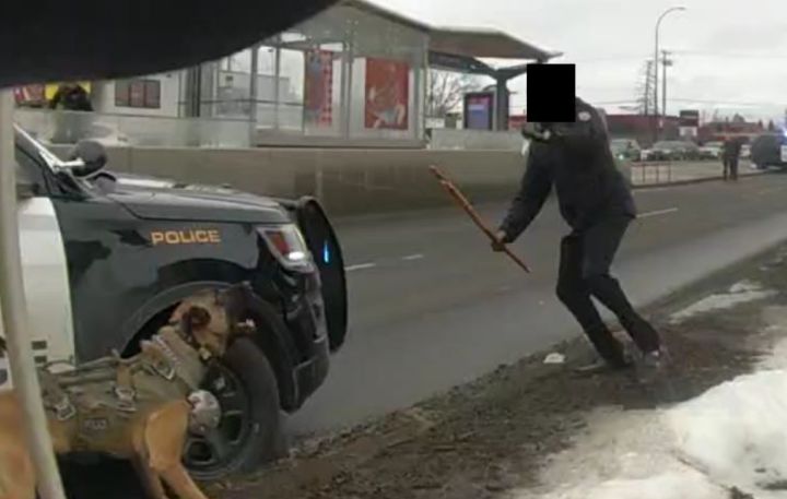 Агенцията за полицейски надзор на Алберта казва че полицаите в Калгари са