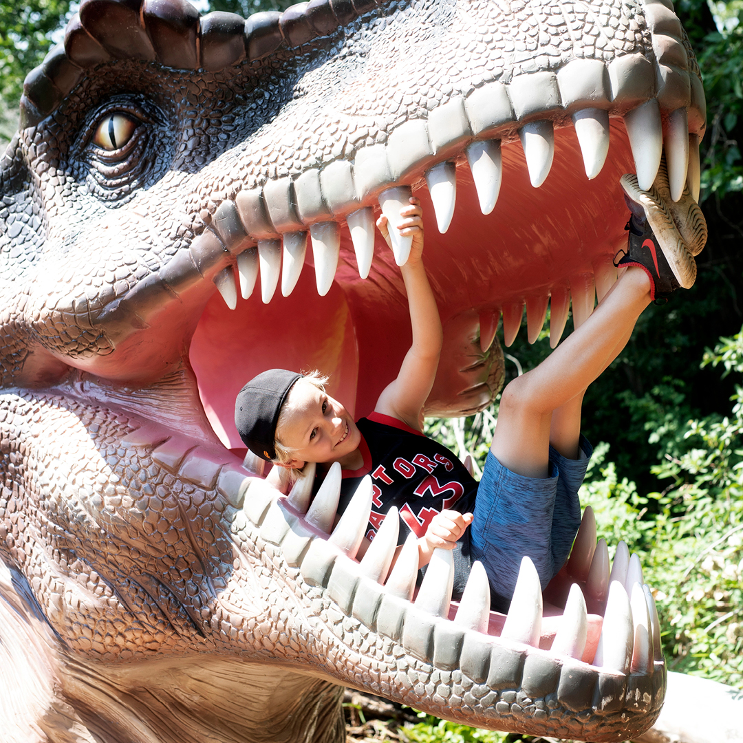 Barney’s Adventure Park Opening Weekend in Drumheller - image