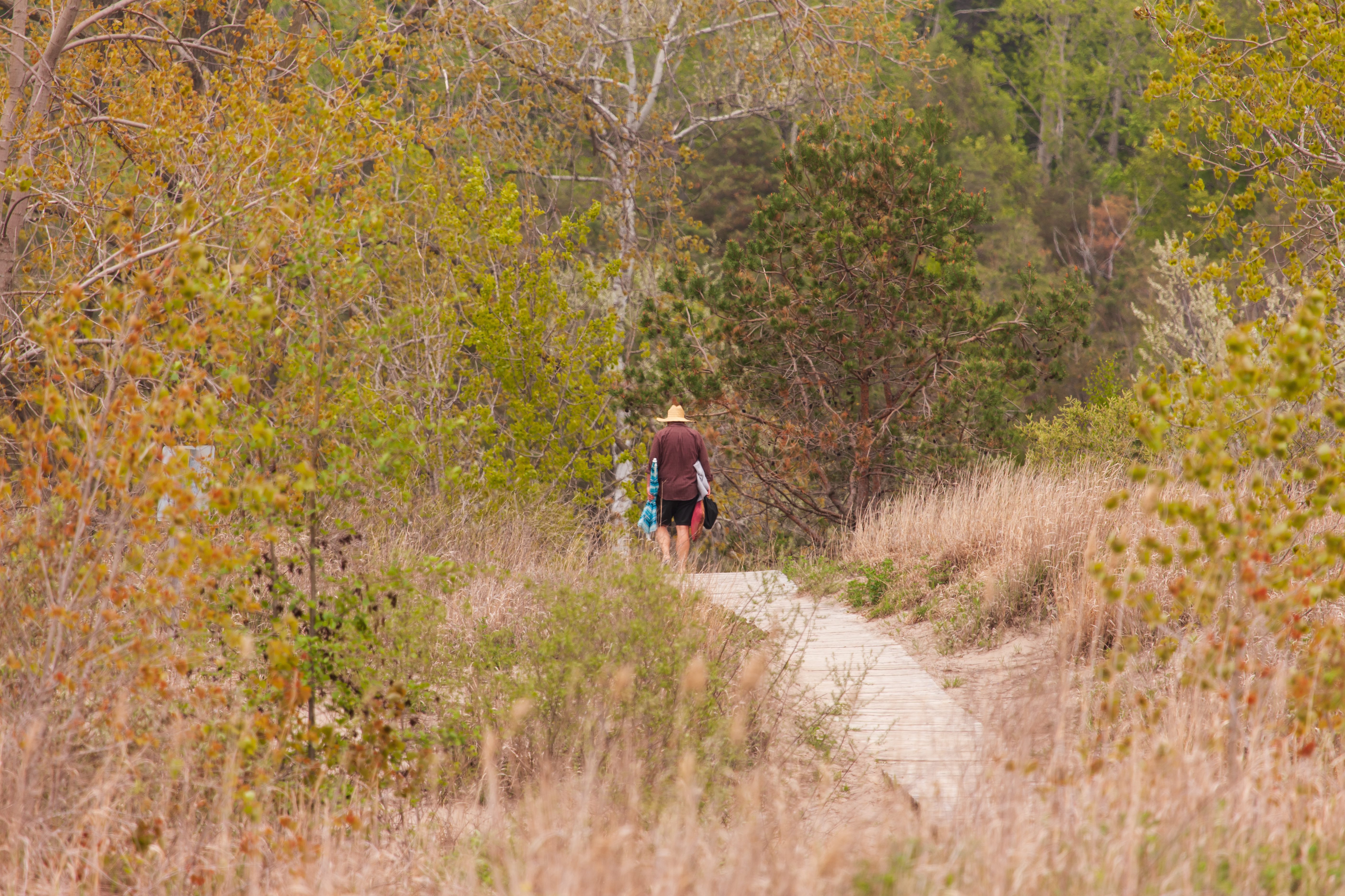 Онтарио планира да отвори първия си градски провинциален парк на