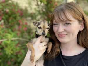Chihuahua has new home weeks after being abandoned in Guelph-area holding tank
