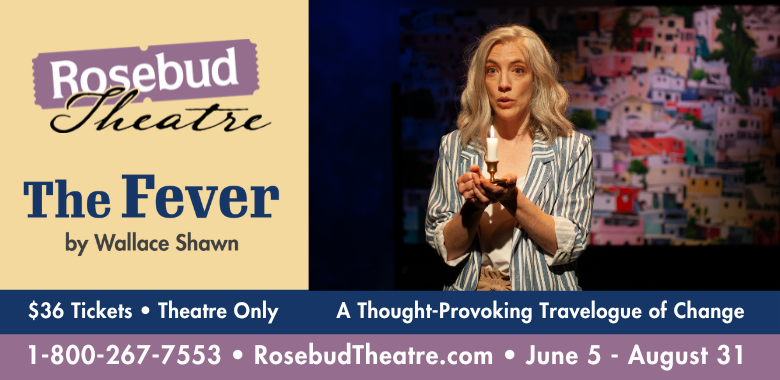 Rosebud Theatre presents The Fever - image