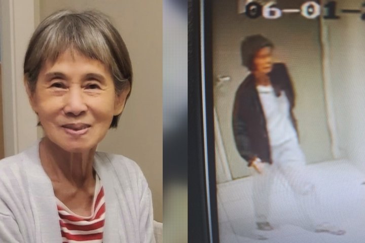 Vancouver police searching for missing senior with dementia