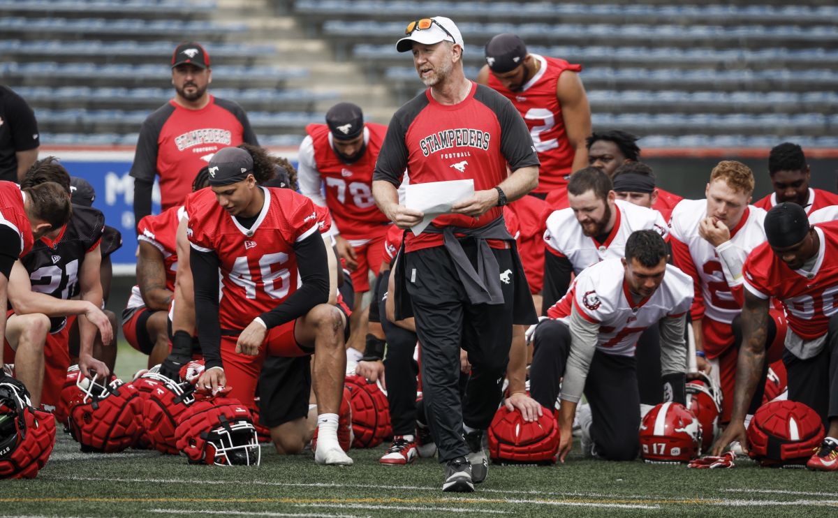 Калгари Стампидърс се нуждае от подобрение и от двете страни