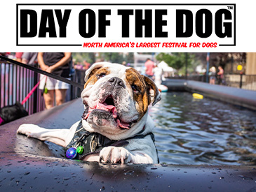 The Day of the Dog - image
