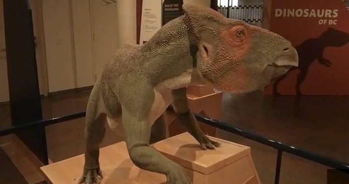 Динозаврийската треска е настъпила в южната вътрешност на Британска Колумбия