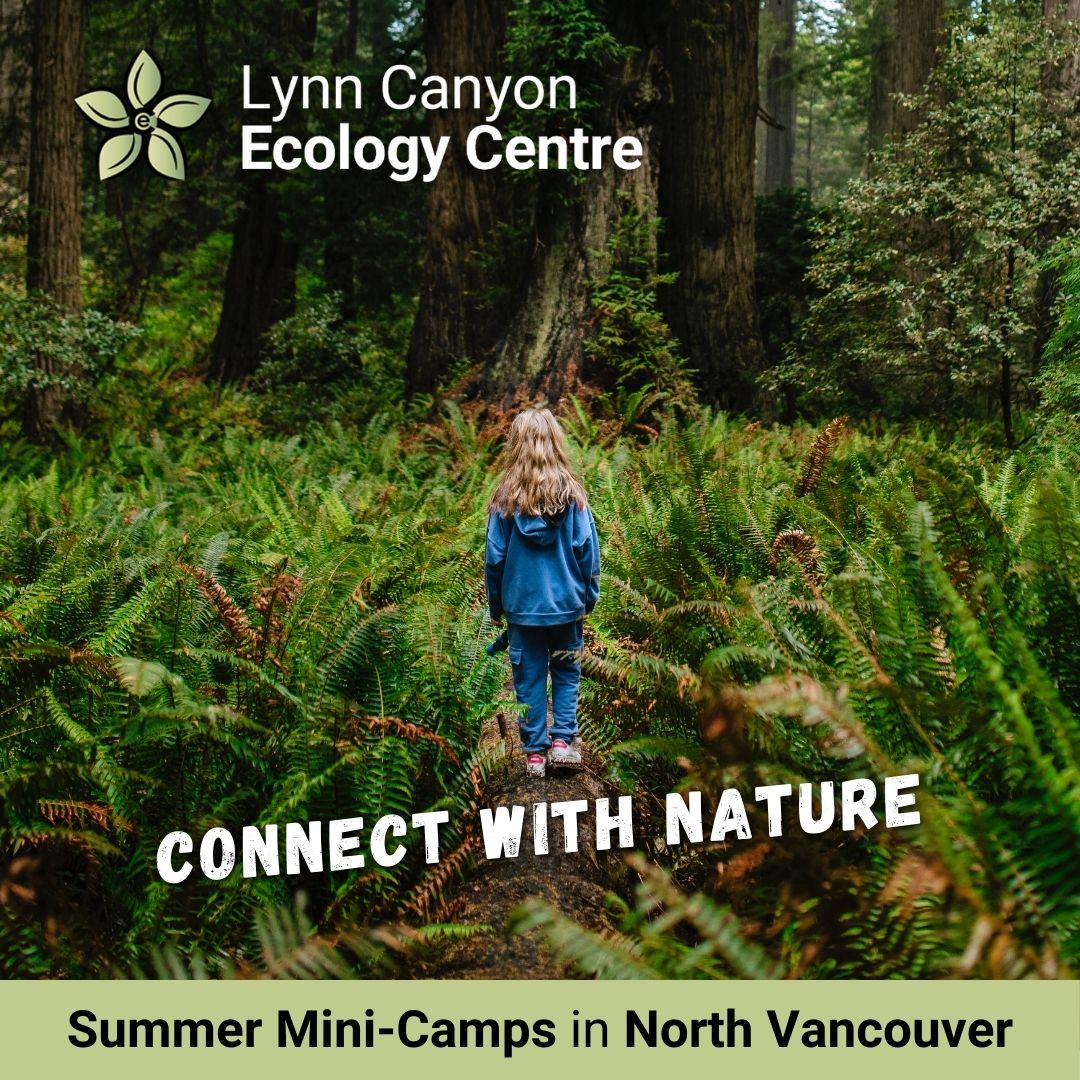 Ecology Centre Summer Camp – Take A Hike - image