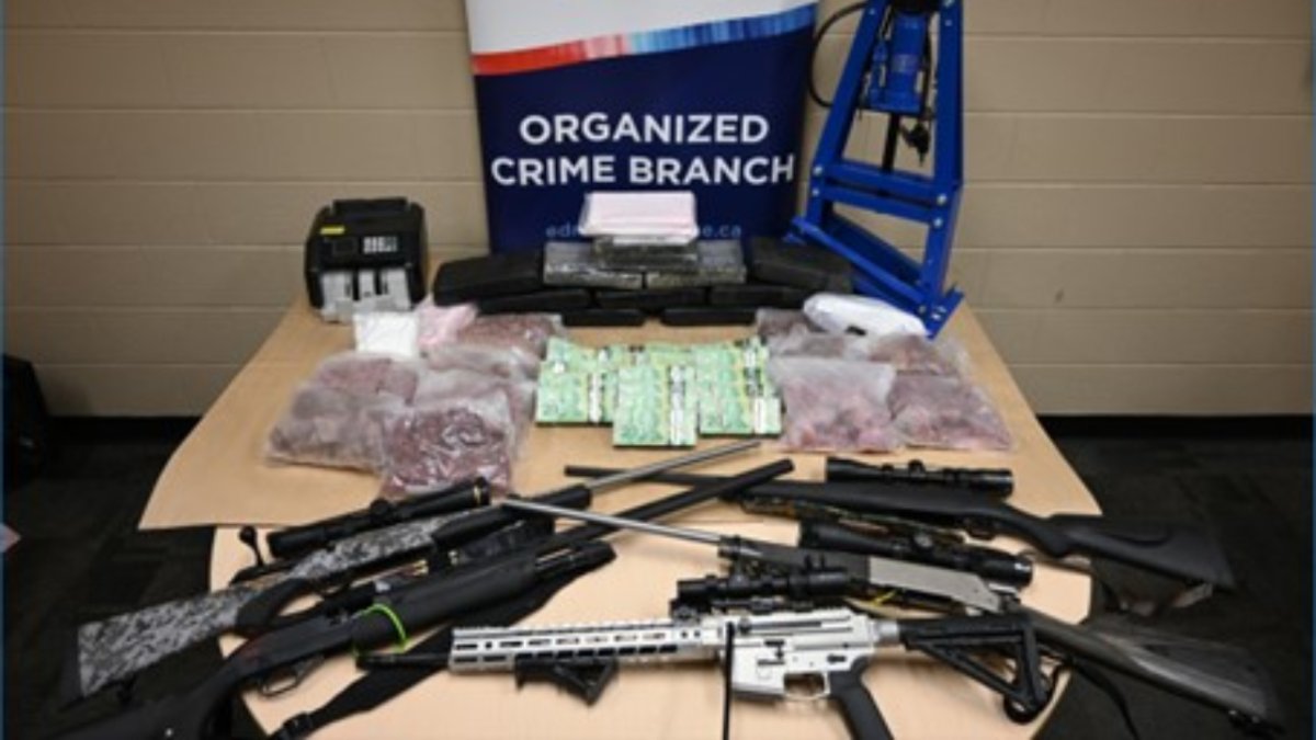 Cocaine, ecstasy, LSD, meth, Oxy and other drugs, along with guns and cash, were seized during raids in Leduc, Edmonton and Calmar.