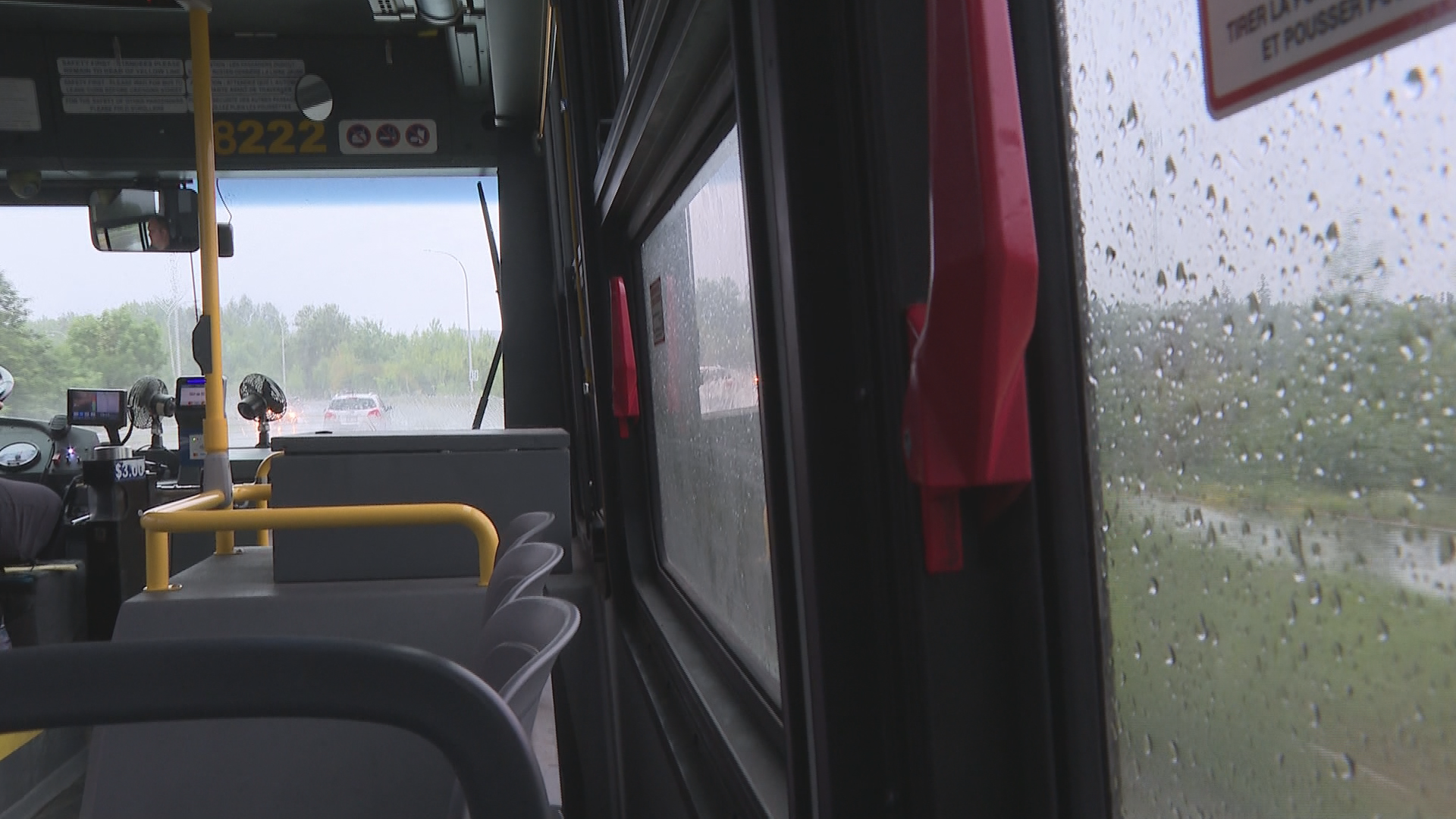 Sunday bus service takes to the streets in Fredericton