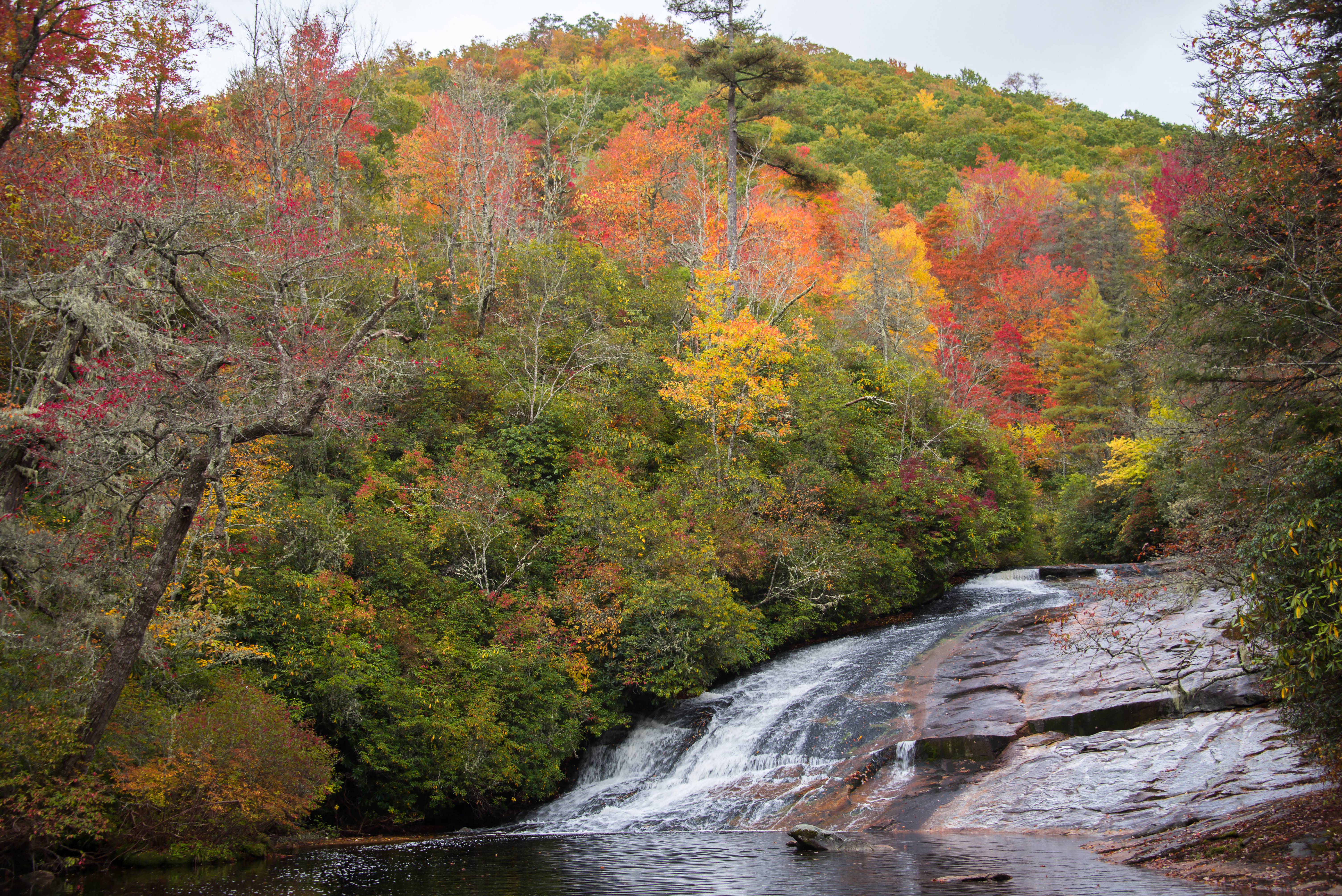 Почти пет месеца след като 12 годишно момче почина в лагер