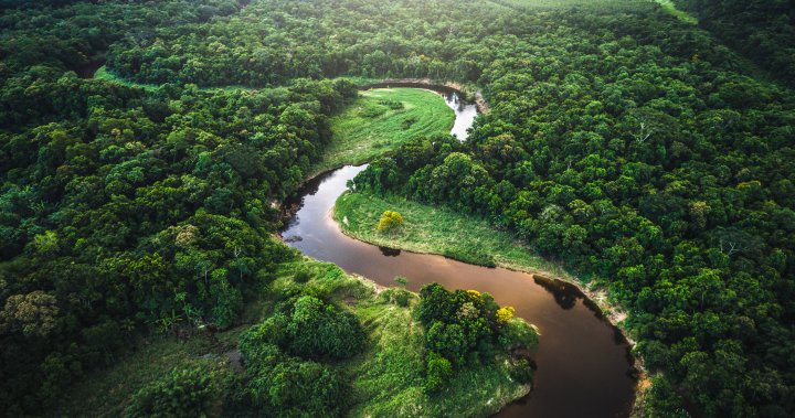 Отдалеченото племе на Amazon се присъедини към интернет благодарение на Starlink на Илон Мъск