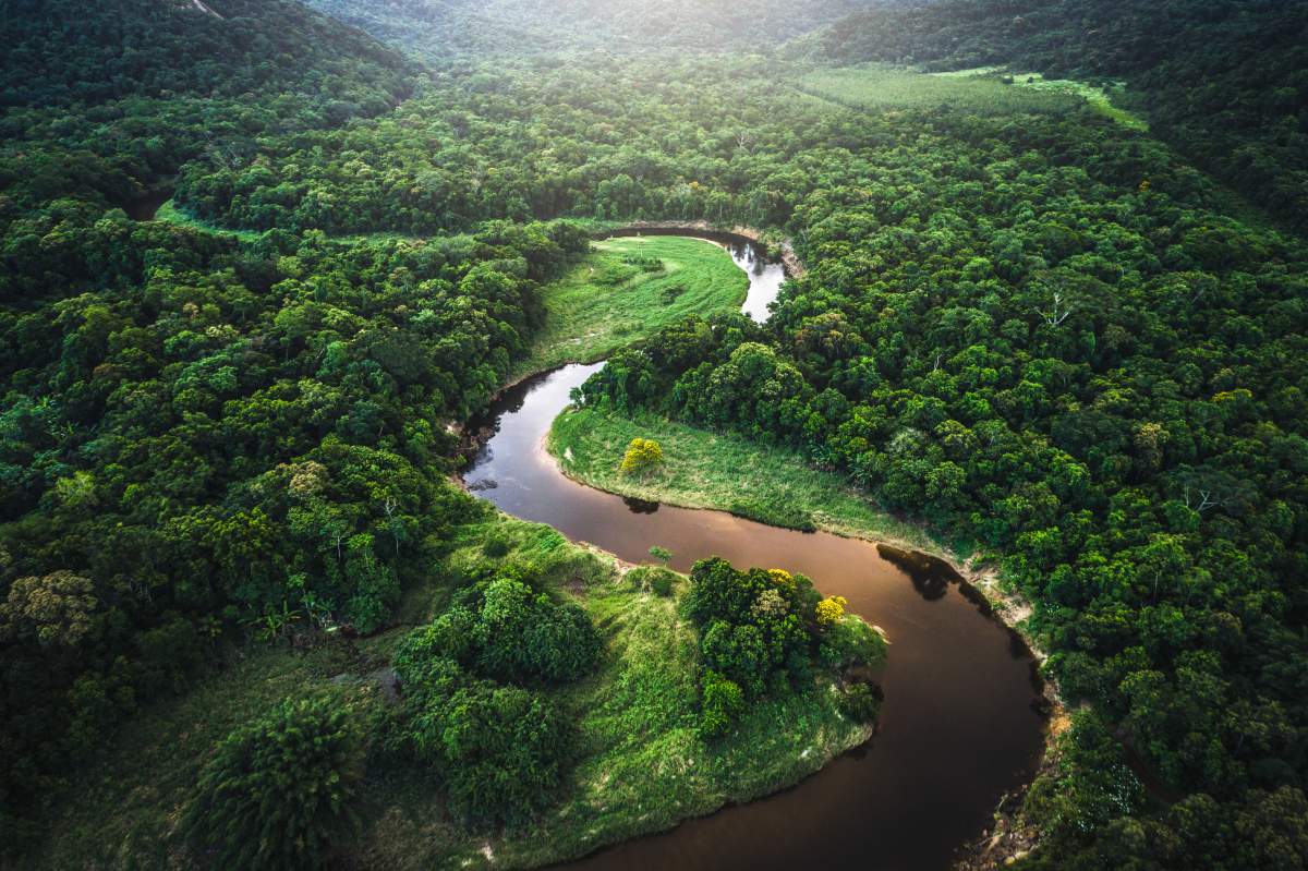 A long, winding river in the Amazon.