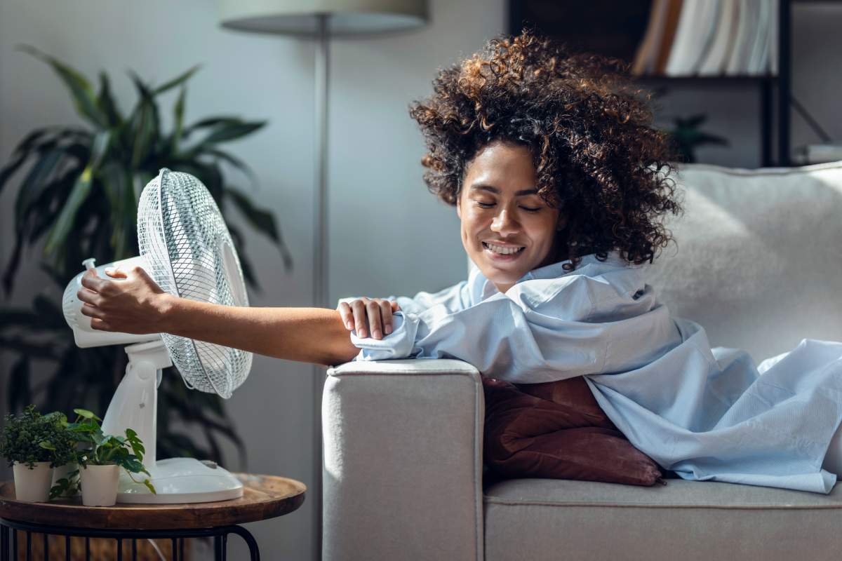 Here is our guide to the best fans in Canada.