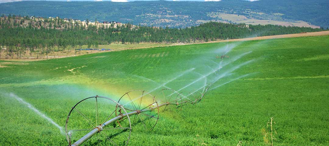 И тогава имаше три В петък град Келоуна Британска Колумбия обяви