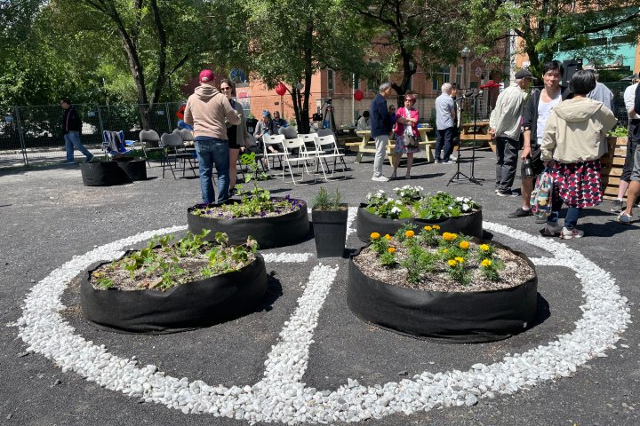 Indigenous-Asian garden opens in Montreal’s Chinatown