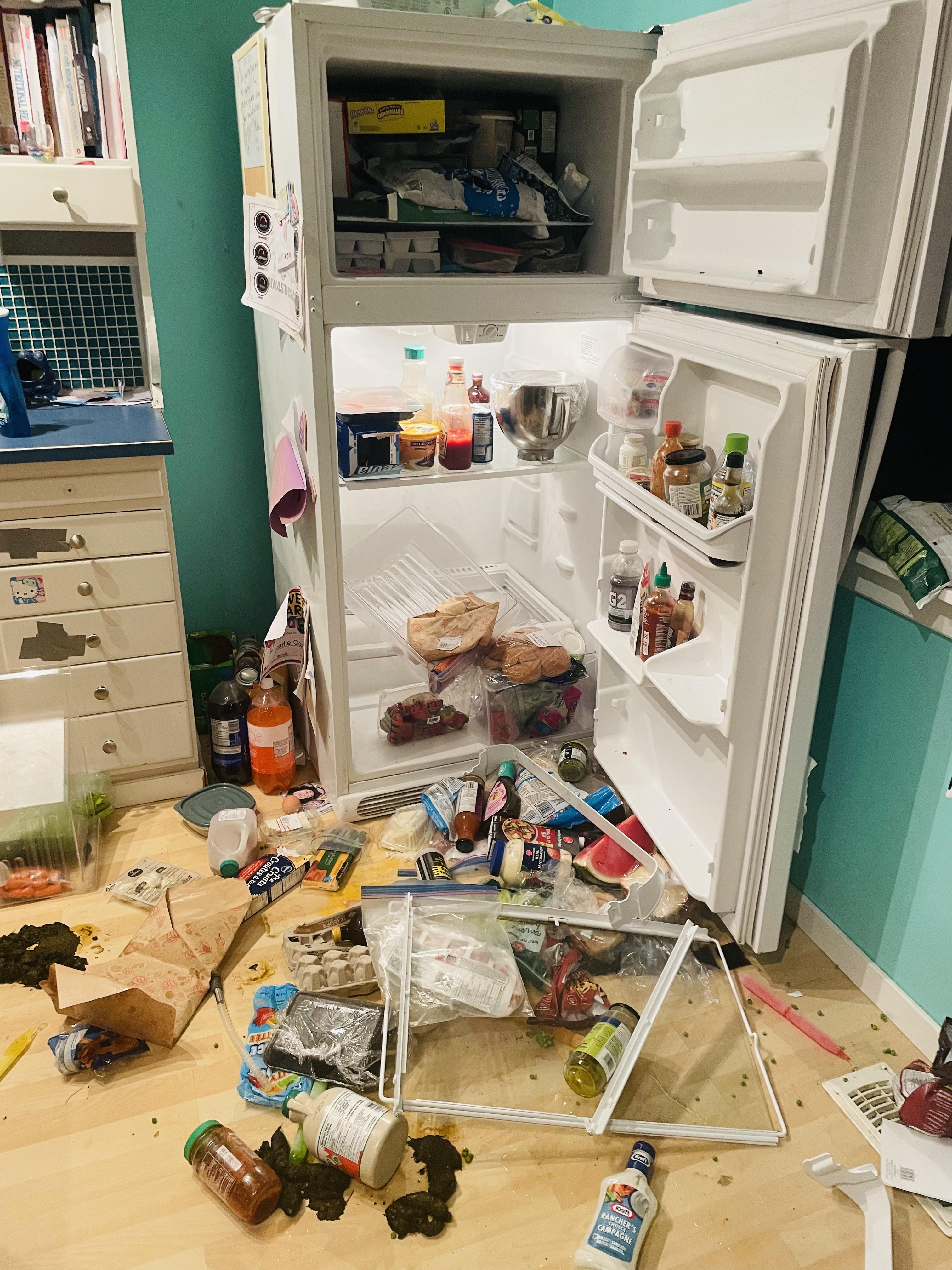 Никой не обича неканени гости особено неканена мечка в хола