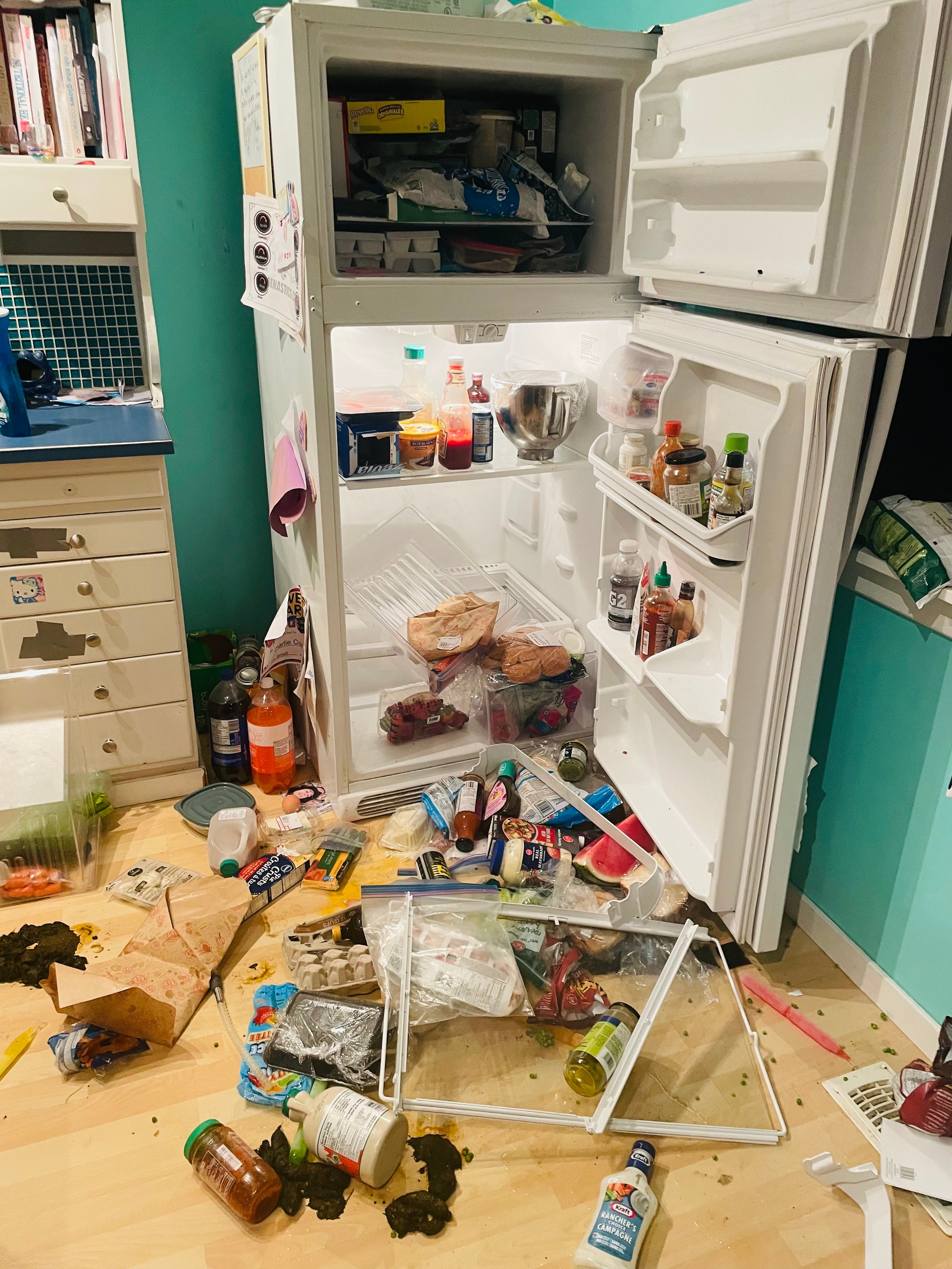 Rossland, B.C. mother and kids hide in their room as bear trashes their house - Vimarsana News