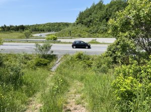 ‘It’s dangerous’: N.S. community forced to cross highway daily may finally have hope