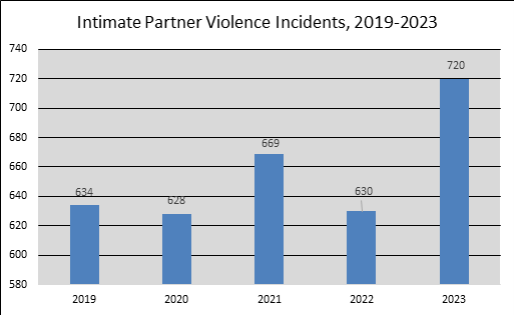 saskatoon’s high rate of intimate partner violence prompts police response team