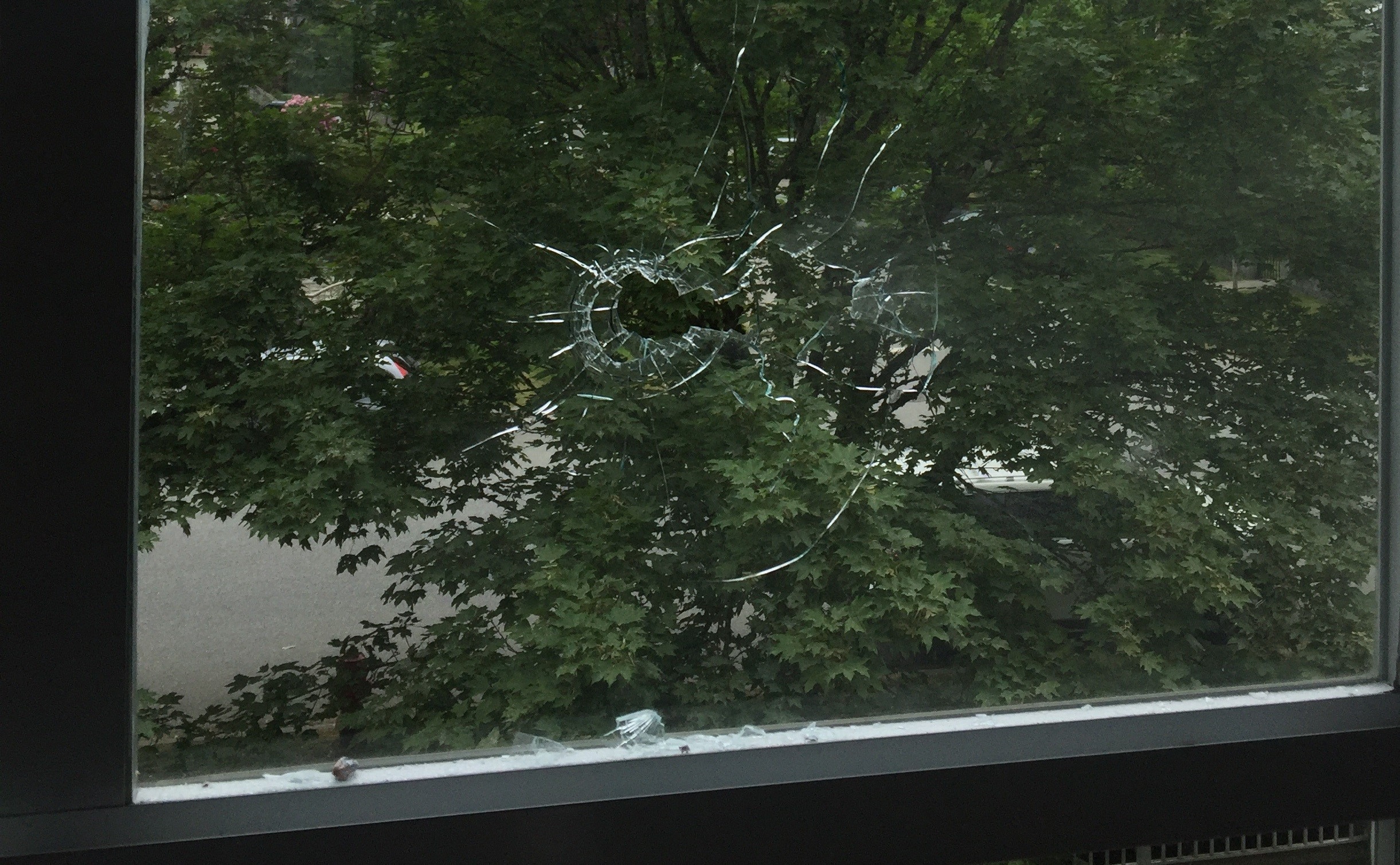 Ванкувърски пенсионер наскоро получи петгодишна забрана за носене на оръжия