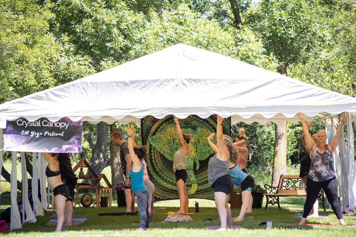 OM Yoga Festival - image