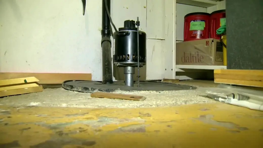 Winnipeg contactors extra busy due to wet weather - Winnipeg - Vimarsana News
