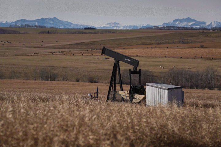 Alberta energy company told to abandon hundreds of wells after ongoing care problems