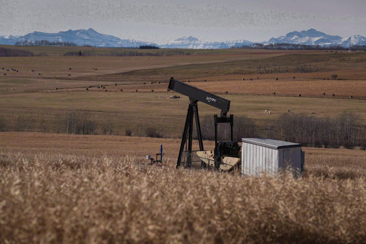 Alberta energy company told to abandon hundreds of wells after ongoing care problems