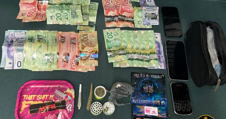 2 арестувани след наркотици, иззети пари по време на спиране на трафика на Hwy 7 в Мармора: OPP