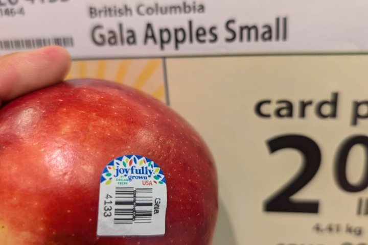 Mislabeled fruit concerns: ‘Grown in B.C.’ may not be true, association warns