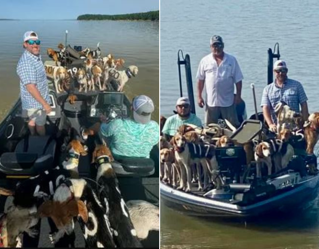Bob Gist, Brad Carlisle and Jordan Chrestmas scrambled to rescue 38 hunting dogs from a Mississippi lake.