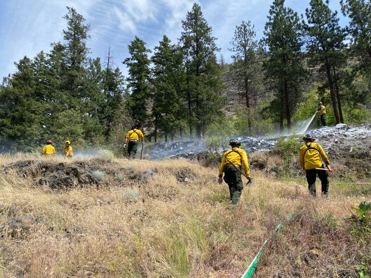 West Kelowna firefighters doused a grass fire along the south slopes of Mount Boucherie on Friday afternoon.