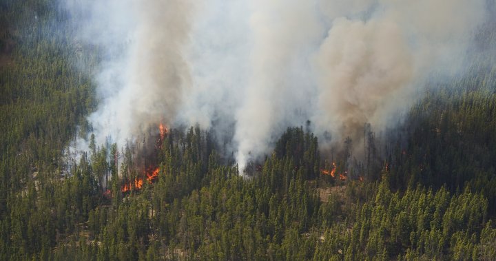 Може ли засяването на облаци да помогне на Канада в борбата с горските пожари?