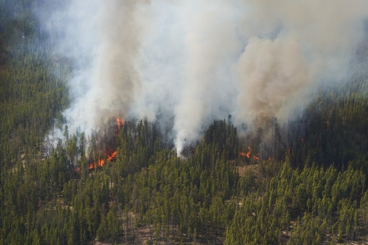 Could cloud seeding help Canada fight wildfires?