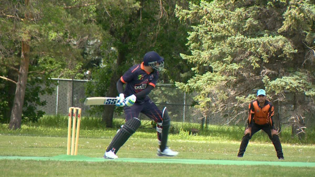 The sport of cricket is becoming more popular in Regina.
