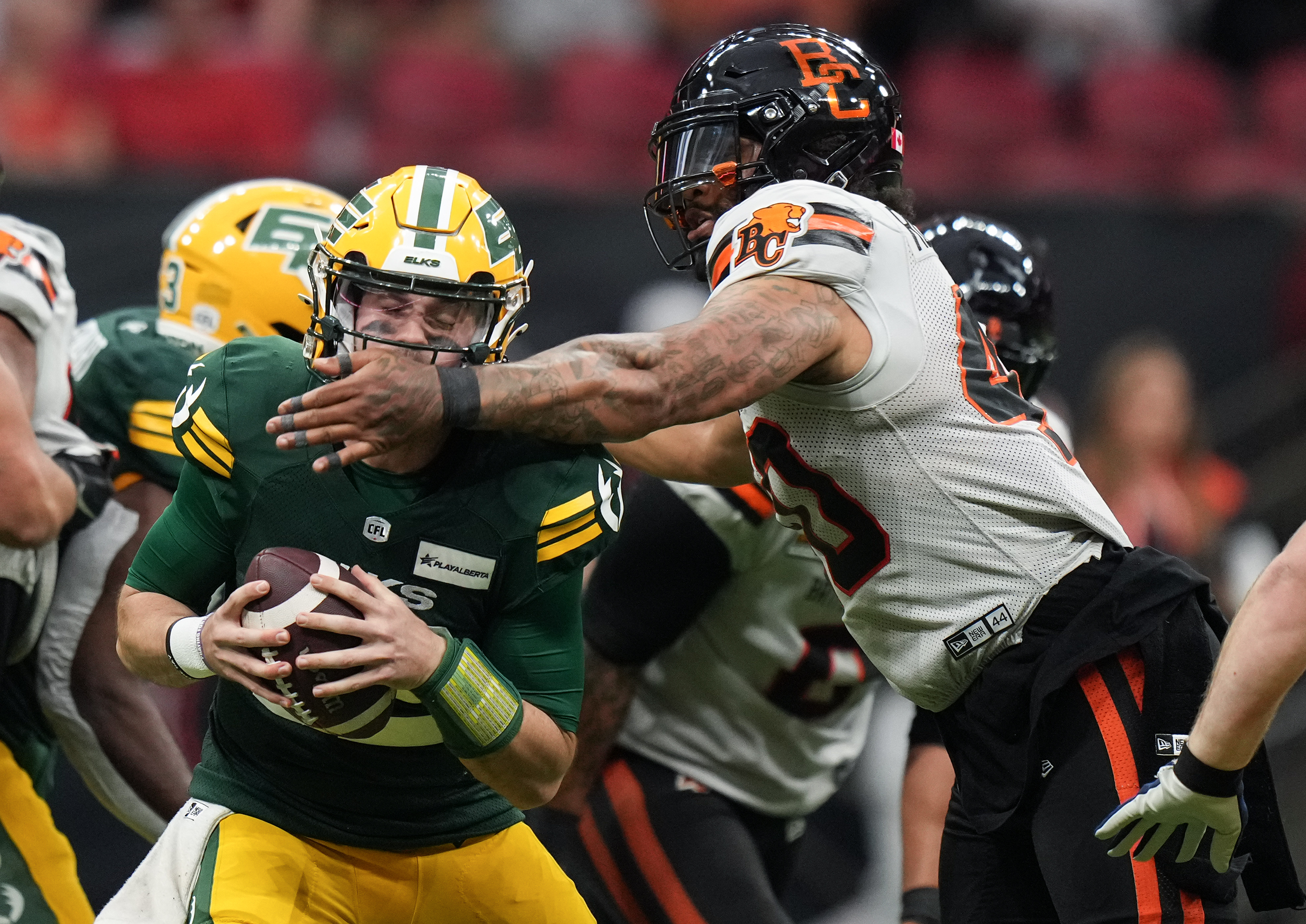 The B C Лъвовете отпразнуваха решителна победа с 29 6 над гостуващия