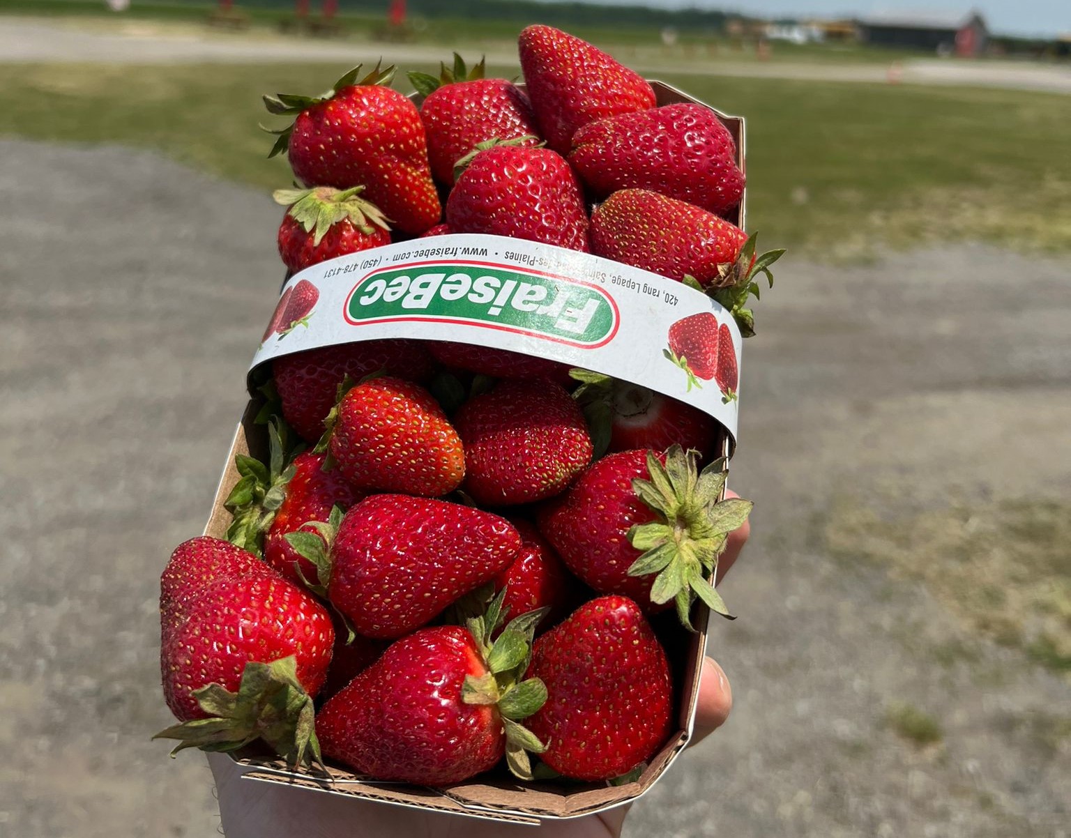 Quebec strawberries have arrived, but you might find yourself paying more