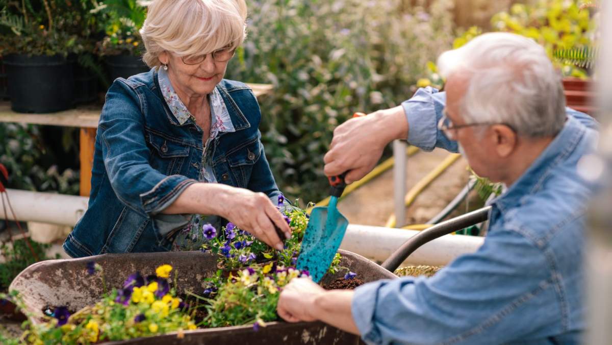 AGI Course: Using Meaningful Activities to Support Unmet Needs - image